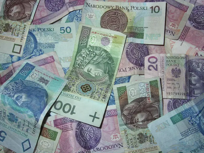 banknoty PLN z pożyczki przez internet