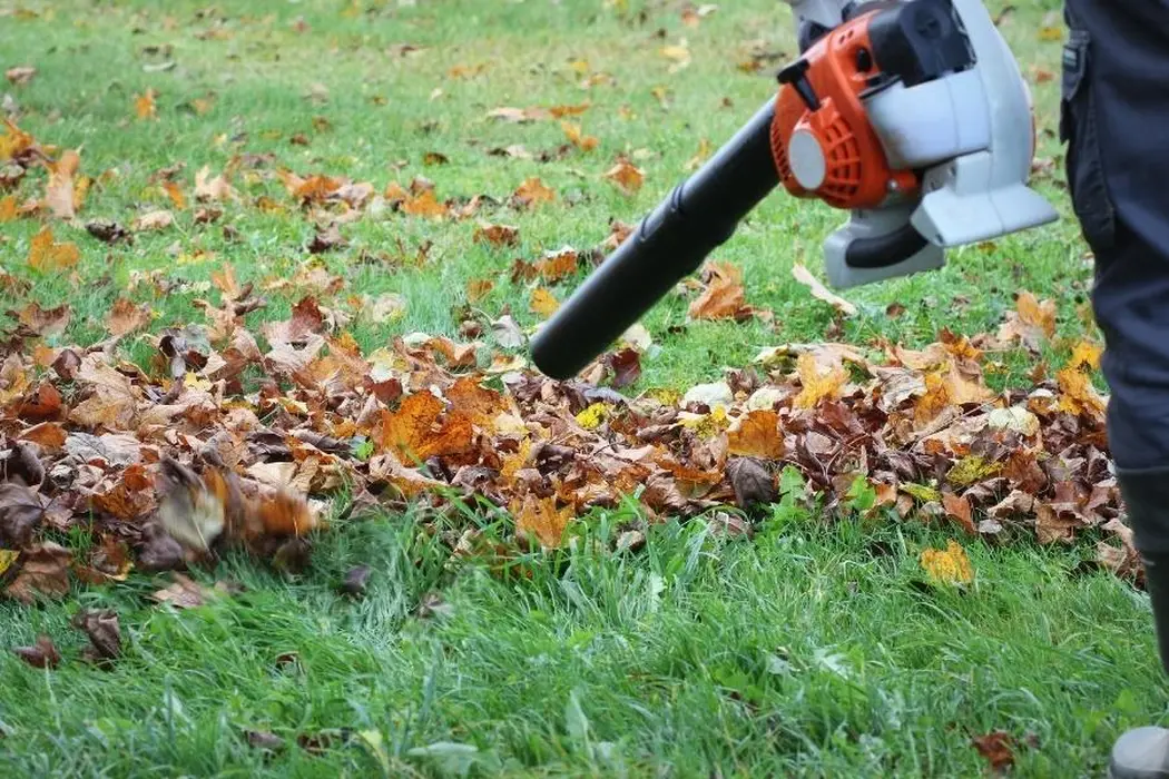 Sezon jesienny- 5 najistotniejszych prac ogrodowych