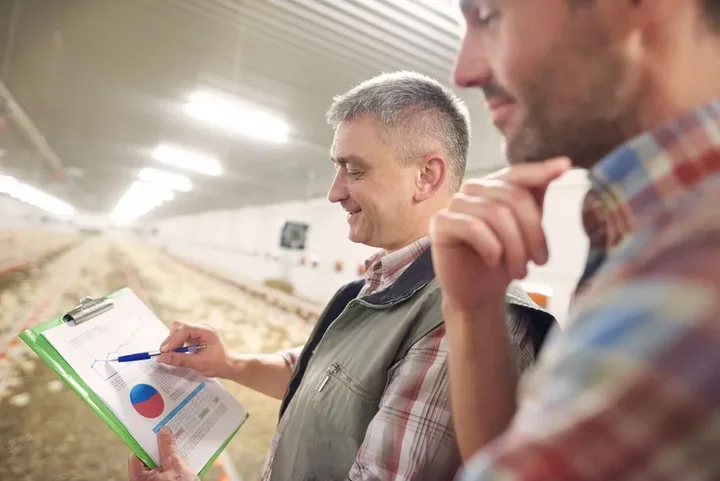 Włoskie pasze – dlaczego rolnicy coraz częściej po nie sięgają?