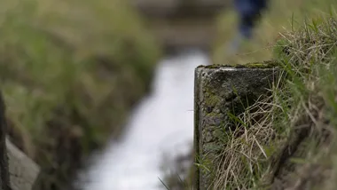 20 tysięcy złotych na prace przy potoku Rudnik w Dobranowicach