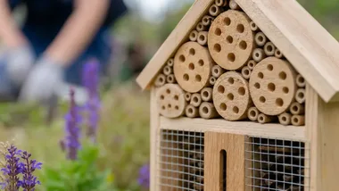 Karmniki, sadzonki i łąka dla pszczół. Ekologiczne działania w powiecie krakowskim