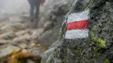 Tatry na płótnie i papierze - krakowska wystawa zabiera widzów w góry