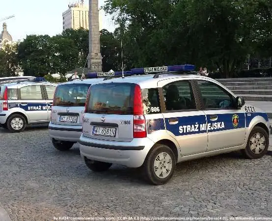 628 lekcji i 2500 opasek - strażnicy trzymali krakowskie lato w ryzach