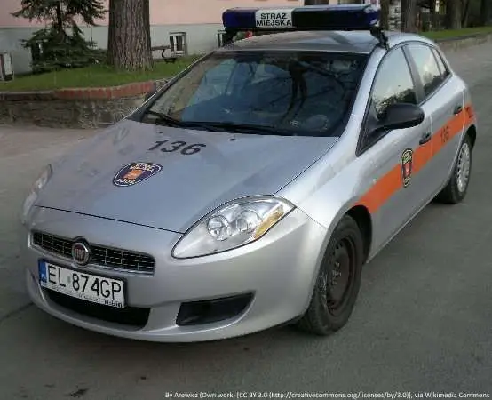 Ptasi wirus w Krakowie - zakaz dotyku i zakrojone działania służb