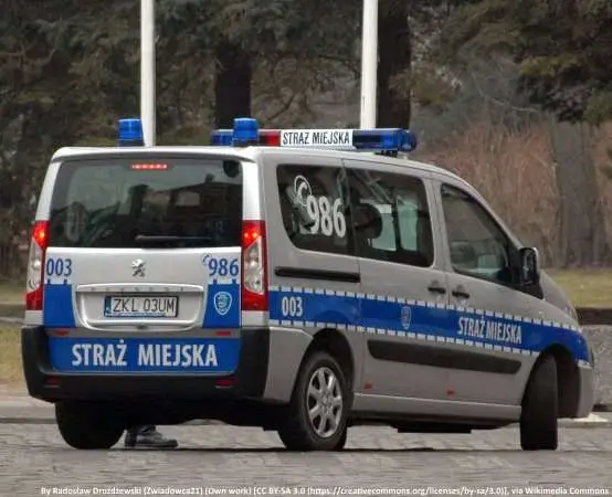 217 funkcjonariuszy Straży Miejskiej zabezpieczało cmentarze. 210 wykroczeń