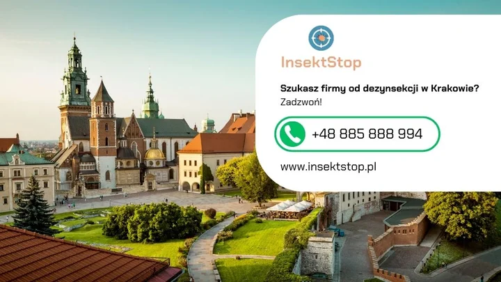 4-krakow-kontakt-do-firmy-insektstop-20250908155111.webp
