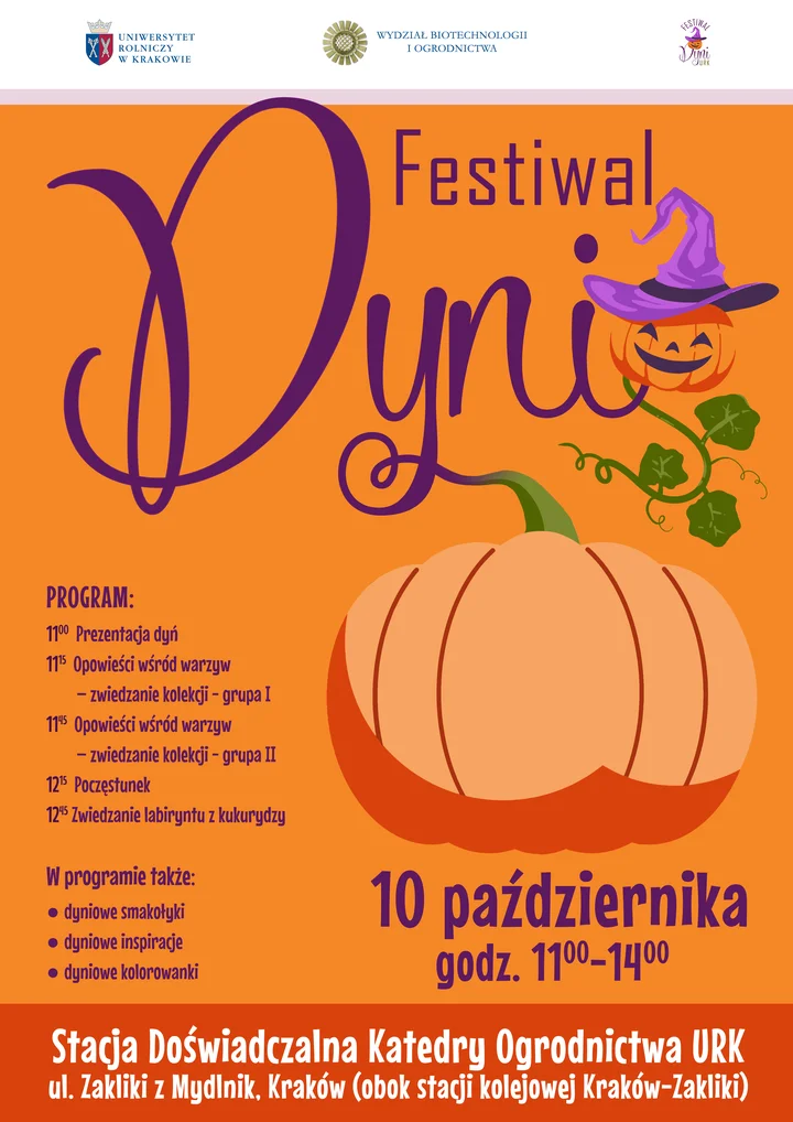 Trzeci Festiwal Dyni w Krakowie 2025