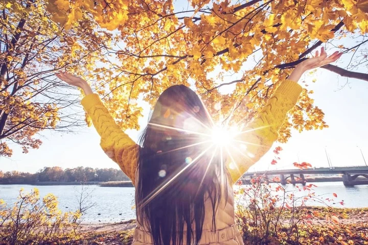 Grafika promocyjna wydarzenia DN Kraków — warsztaty i spotkanie Dzielnych Niewiast, 8 listopada 2025