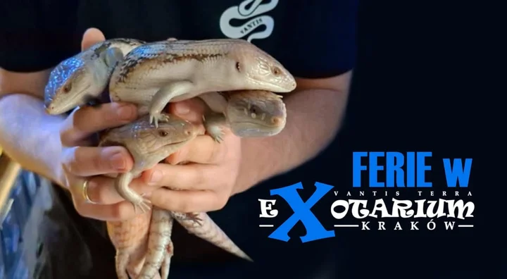 Grafika promocyjna wydarzenia Ferie w Exotarium Kraków — wystawa egzotycznych zwierząt i zimowe atrakcje