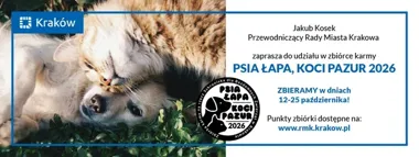 Osiem punktów na karmę dla schroniska. Zbiórka na Starym Mieście