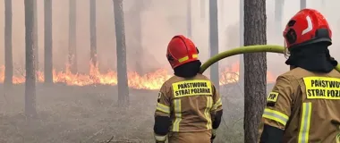 Strażacy z Krakowa walczą z pożarem, który objął 500 hektarów Puszczy Solskiej