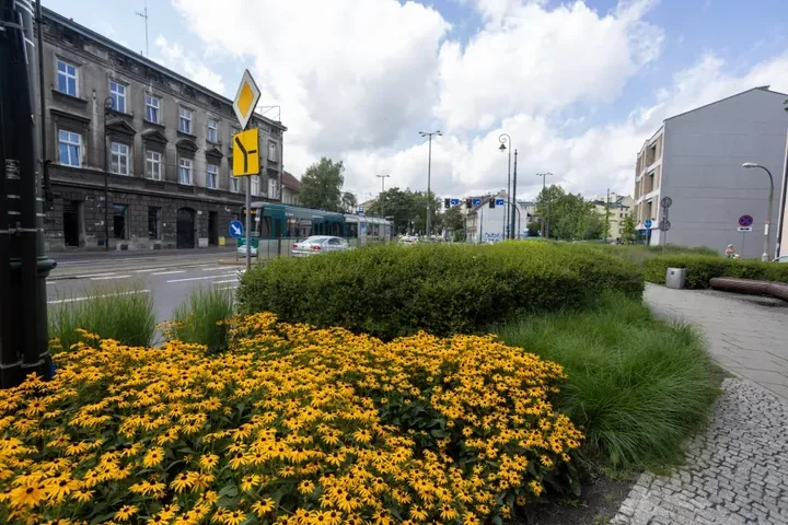 Limanowskiego czeka remont. Tramwaje nie przejadą przez część Podgórza