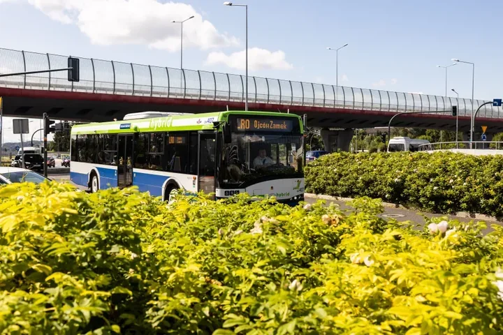 Weekendowe wypady z Krakowa z dodatkowymi autobusami. Nie wszystkie linie wyjadą