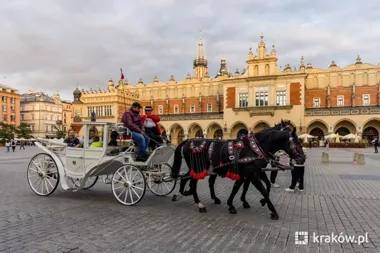Rynek Główny czasowo zamknięty dla dorożek. Uroczystości Straży Miejskiej