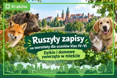Krakowskie szkoły mogą zgłaszać uczniów na warsztaty o dzikich zwierzętach