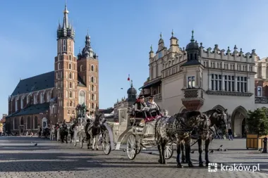 Dwie godziny bez dorożek na Rynku Głównym. Powód jest konkretny