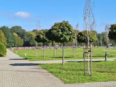 Prawie 17 mln zł na inwestycje cmentarne. Nakłady w Krakowie mocno rosną