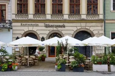 Przyłapany z miejską kasą. Tak upadł Andrzej Wierzynek w Krakowie