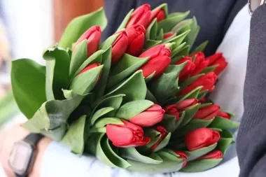 Kwiaty zostają na Rynku Głównym – miasto przedłuża zasady do 2027 roku