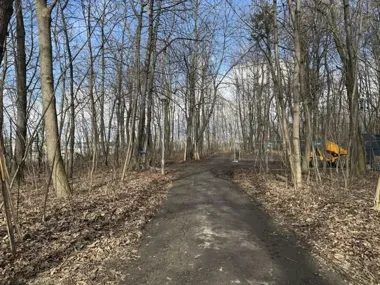 W lesie przy Bonarce powstaje nowa ścieżka pieszo-rowerowa – ruszyły prace i modernizacja