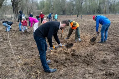 Krakowski las rósł od rana, a mieszkańcy wbili w ziemię 1500 sadzonek