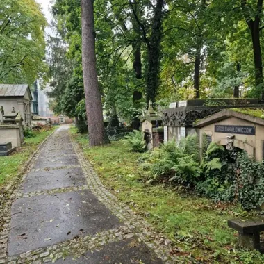 Rekord na krakowskich cmentarzach. Na zieleń pójdzie 1,8 mln zł