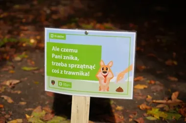 Na spacer z psem w Krakowie – sprzątanie to obowiązek i ochrona zdrowia