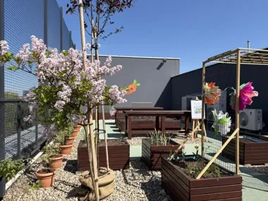 Dach szkoły zazielenił się na nowo. Kraków otwiera kolejną edycję ogrodów z klasą