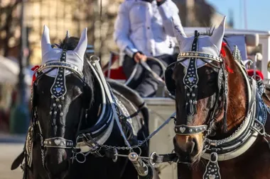 Zamknięcie postoju dorożek na Rynku Głównym. Smoki przejmą plac