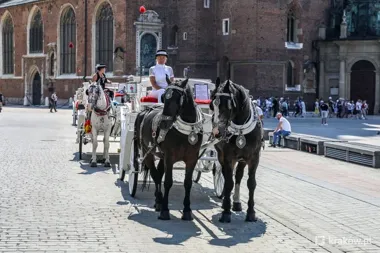 Upał zmieni zasady na Rynku Głównym. Dorożki nie wyjadą