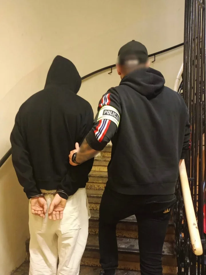 21-latek przyznał się do okaleczenia królika - porzucił ranne zwierzę