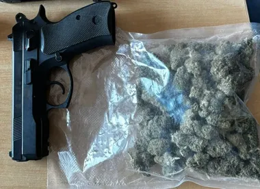 40-latek z Krakowa schował narkotyki w trzech kryjówkach - pies Suzi je odnalazł