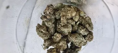 Nerwowy ruch na ławce zdradził 35-latka z Krakowa