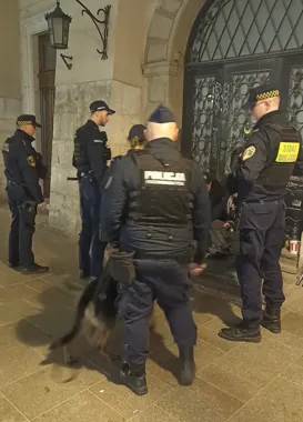 Patrole z psami opanowały Rynek - 168 interwencji, 7 zatrzymań w centrum Krakowa