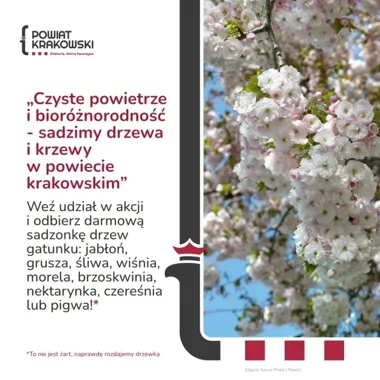 Darmowe drzewka znów trafią do ogrodów powiatu krakowskiego w siódmej edycji akcji